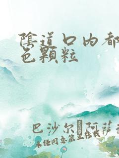 阴道口内都有白色颗粒