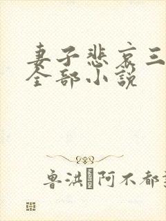 妻子悲哀三部曲全部小说