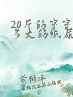 20斤的宝宝穿多大的纸尿裤