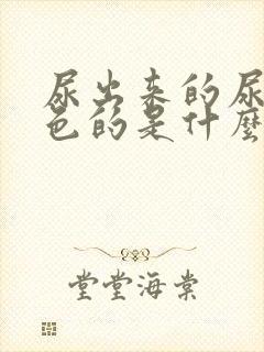 尿出来的尿是白色的是什么情况