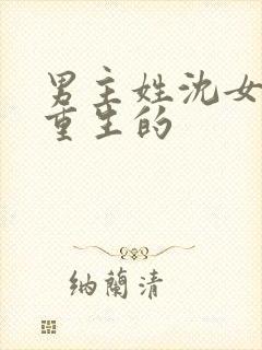 男主姓沈女主是重生的