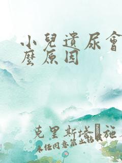 小儿遗尿会有什么原因