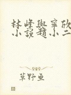 林峰与宁欣正版小说赵小二