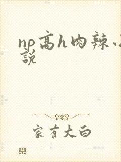 np高h肉辣小说