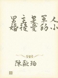 男主是军人的先婚后爱的小说