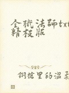 全职法师txt精校版