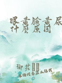 眼黄脸黄尿黄是什么原因