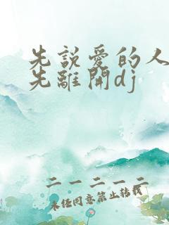 先说爱的人总是先离开dj
