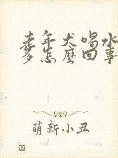 老年犬喝水多尿多怎么回事