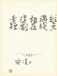 幸得相遇离婚时短剧在线免费观看