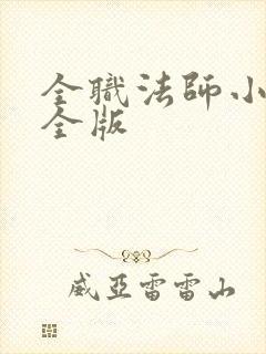 全职法师小说完全版