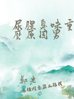 尿腥臭味重是什么原因男