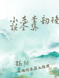 小志李韵后妈小说全集