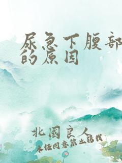 尿急下腹部隐痛的原因