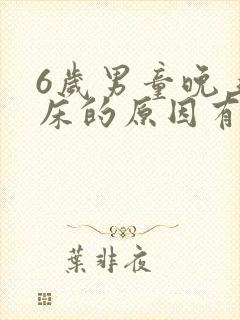 6岁男童晚上尿床的原因有哪些