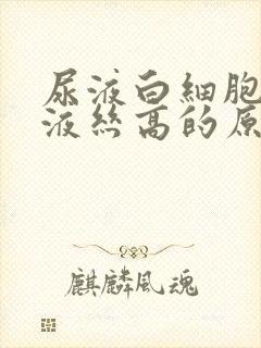 尿液白细胞和粘液丝高的原因