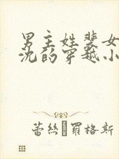 男主姓裴女主姓沈的穿越小说