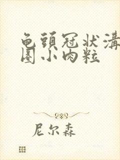 龟头冠状沟长一圈小肉粒