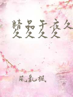 精品午夜久久久久久久久