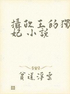 摄政王的独宠医妃 小说