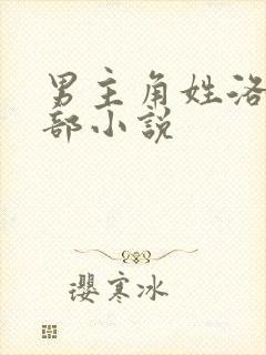 男主角姓洛的全部小说