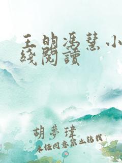 王明冯慧小说在线阅读