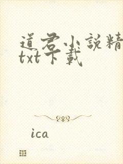 道君小说精校版txt下载