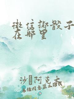 微信掷骰子骰子在哪里