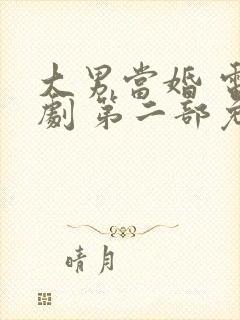 大男当婚 电视剧 第二部免费