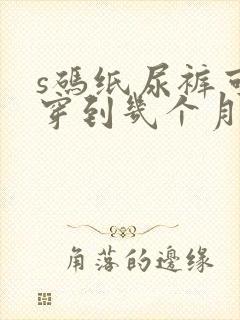 s码纸尿裤可以穿到几个月