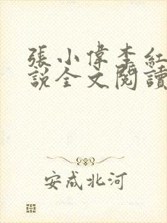 张小伟李红梅小说全文阅读