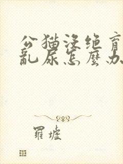 公猫没绝育到处乱尿怎么办