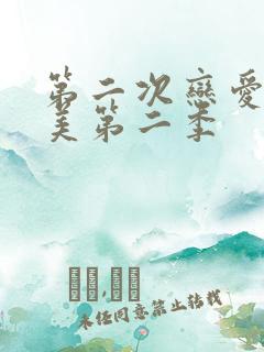 第二次恋爱才完美第二季