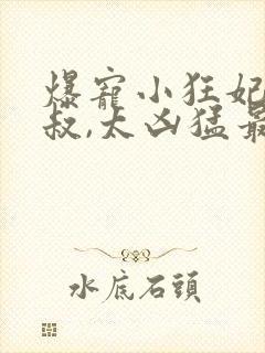 爆宠小狂妃:皇叔,太凶猛最新章节