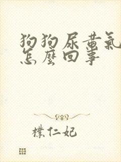 狗狗尿黄气味大怎么回事