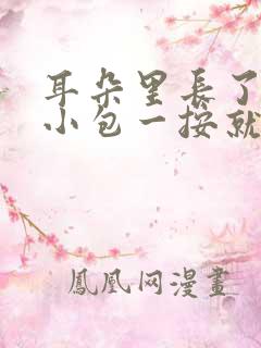 耳朵里长了一个小包一按就疼