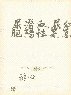 尿潜血,尿红细胞阳性是怎么回事