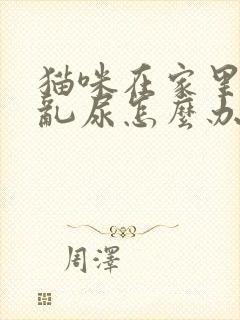 猫咪在家里乱拉乱尿怎么办