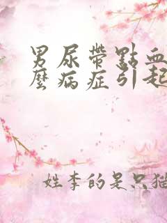 男尿带点血是什么病症引起的