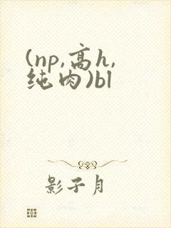 (np,高h,纯肉)bl