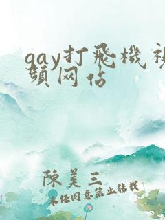 gay打飞机视频网站