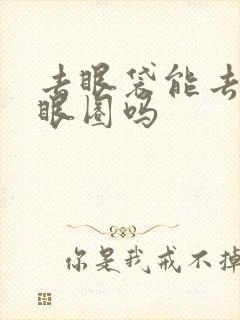 去眼袋能去掉黑眼圈吗