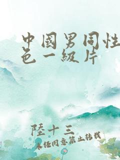 中国男同性恋黄色一级片