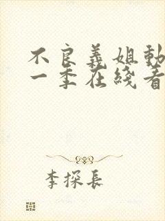 不良义姐动漫第一季在线看免费