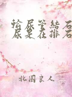 输尿管结石有血尿是在排石吗