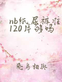 nb纸尿裤准备120片够吗
