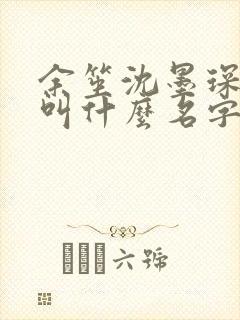 余笙沈墨琛小说叫什么名字