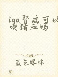 iga肾病可以吃猪血吗