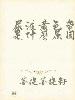 尿液黄色带泡沫是什么原因