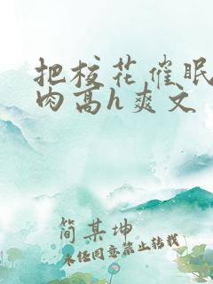 把校花催眠了纯肉高h爽文